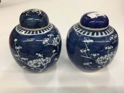 Lot 23 - Pair of Chinese blue and white porcelain prunus ginger jars and covers