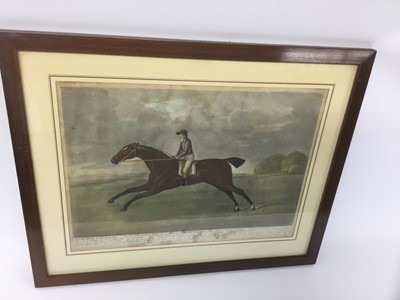 Lot 210 - After Sartorius, colour mezzotint, Lurcher, plate 25 x 35cm, glazed frame