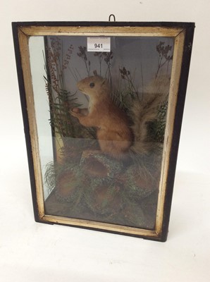 Lot 941 - Victorian Red Squirrel within naturalistic setting in glazed case