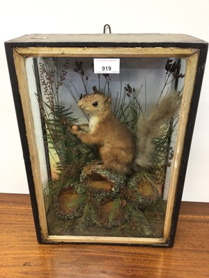 Lot 197 - Victorian Red Squirrel within naturalistic setting in glazed case