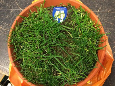 Lot 2076 - Group of Colchester United related items including Turf from Layer Road, Leeds United FA Cup Run and various other items of Colchester United Interest.