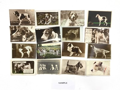 Lot 1287 - One tray of postcards, various dogs