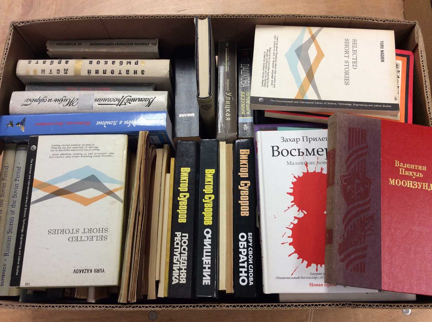 Lot 1019 - Russian books, various, 5 boxes