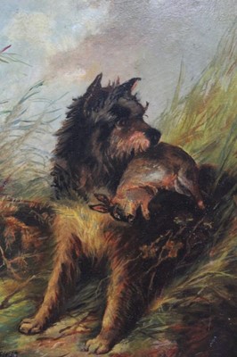 Lot 492 - M. Walther, oil on artist board, a terrier with rabbit, signed and dated 1906, 30 x 21cm