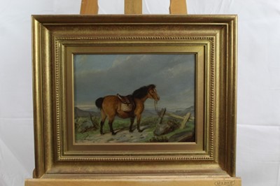 Lot 523 - 19th century, English School, oil on board - a pony