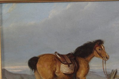 Lot 523 - 19th century, English School, oil on board - a pony