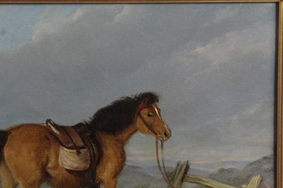 Lot 523 - 19th century, English School, oil on board - a pony