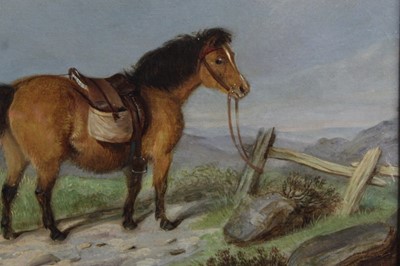 Lot 523 - 19th century, English School, oil on board - a pony