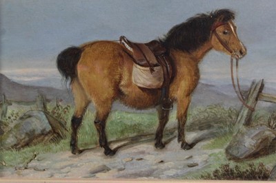 Lot 523 - 19th century, English School, oil on board - a pony