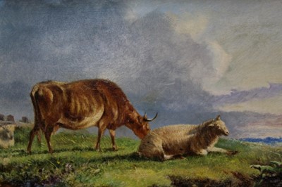 Lot 514 - Manner of Thomas Sidney Cooper, oil on board - sheep and a cow in landscape, in gilt frame, 15.5cm x 29.5cm