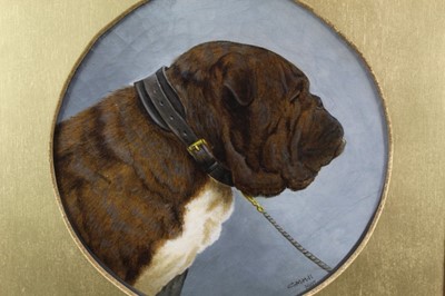 Lot 516 - C. M. Hill, Edwardian oil on canvas - portrait of a Bulldog, tondo, signed and dated 1907, in gilt frame, 28cm