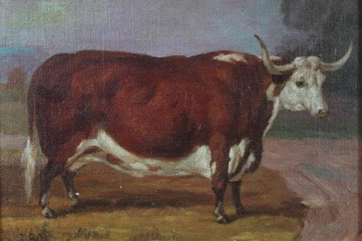 Lot 563 - J. Box, 20th century, oil on canvas laid on board - A Longhorn Bull, signed, in gilt frame, 19cm x 25cm