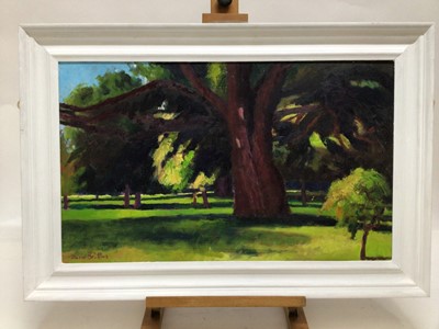 Lot 70 - David Britton, contemporary, oil on board - Cyprus Tree, signed, framed, 40cm x 66cm