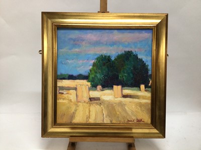 Lot 80 - David Britton, contemporary, oil on board - Haystacks, signed, framed, 45cm x 45cm