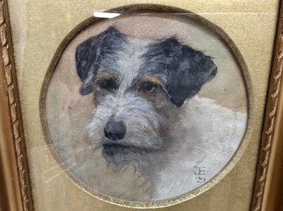 Lot 65 - English School watercolour study- the head of a terrier, monogrammed and dated 1903, within circular mount in gilt frame, diameter 18cm