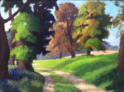 Lot 111 - David Britton, contemporary, oil on board - Path Through Grass and Trees, Suffolk, signed and framed