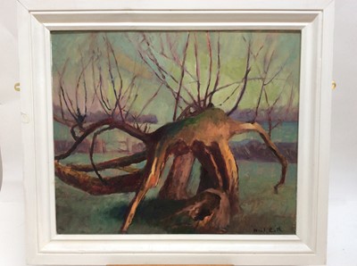 Lot 112 - David Britton, contemporary, oil on board - Fallen Willow, signed and framed