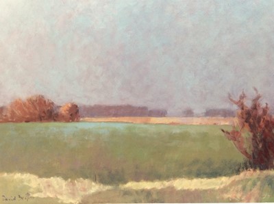 Lot 113 - David Britton, contemporary, oil on board - Fields Near Saxmundham, signed and framed