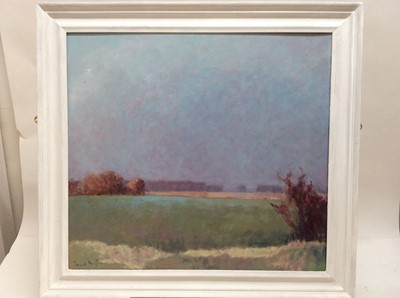 Lot 113 - David Britton, contemporary, oil on board - Fields Near Saxmundham, signed and framed