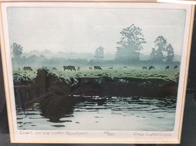 Lot 153 - Erica Vanhinsbergh, contemporary, signed limited edition linocut - Dawn on the Water Meadows, 22/50, in glazed frame