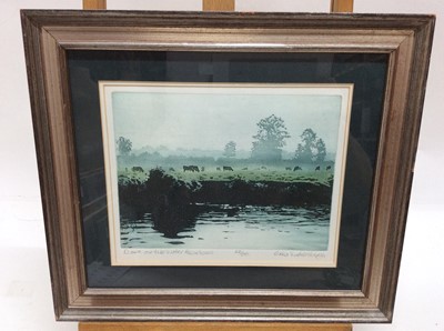 Lot 153 - Erica Vanhinsbergh, contemporary, signed limited edition linocut - Dawn on the Water Meadows, 22/50, in glazed frame