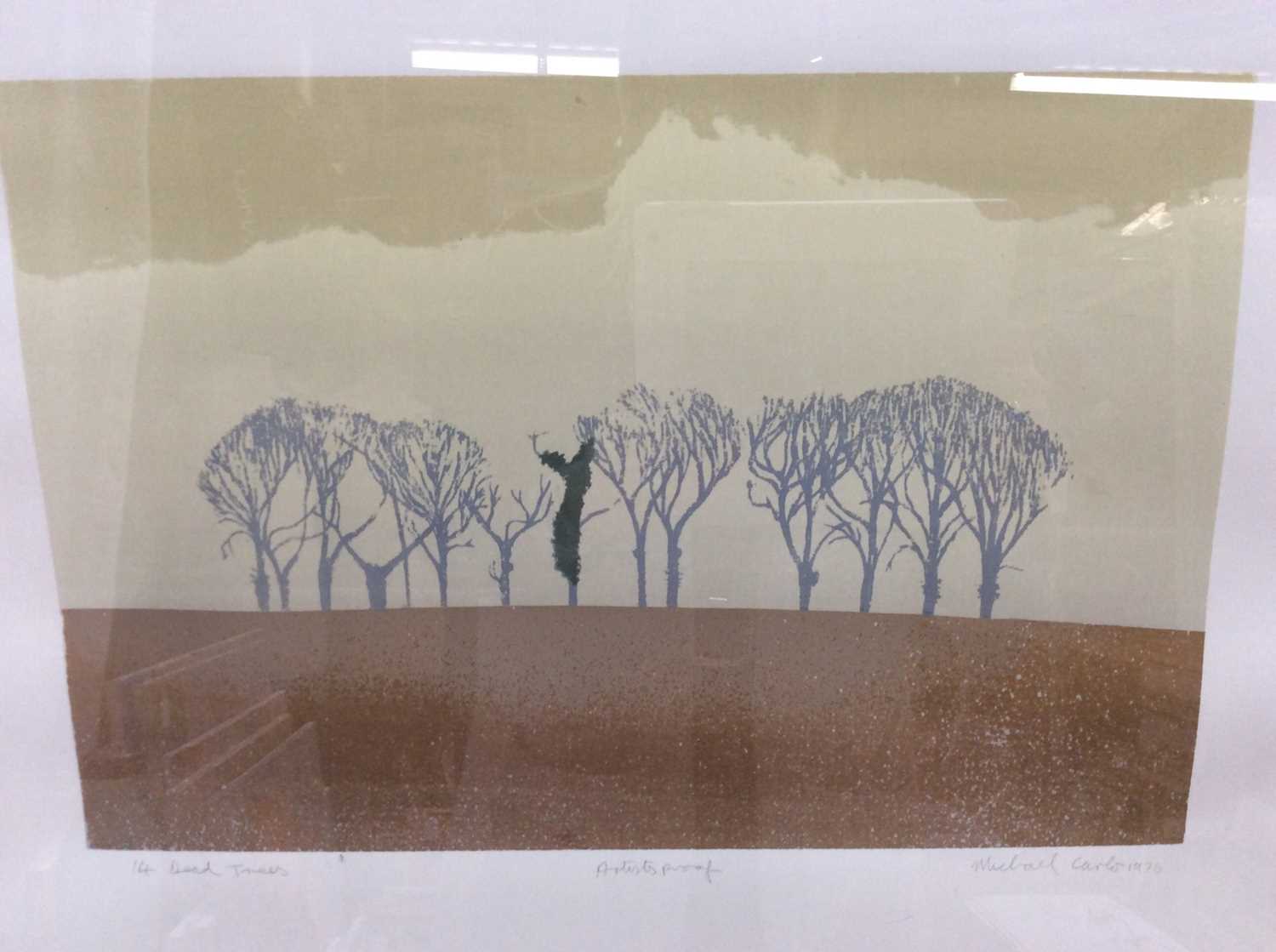 Lot 164 - Michael Carlo Artists Proof etching- 14 Dead Trees, signed and dated, in glazed frame