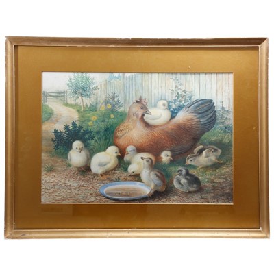 Lot 161 - 19th century English School watercolour study- chicken with her chicks, in glazed gilt frame, 38cm x 55cm and overall frame size 58cm x 75cm