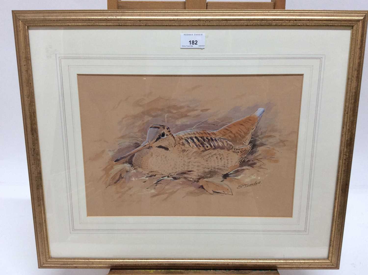 Lot 182 - Simon T. Trinder (b.1958) watercolour - A Woodcock, signed, in glazed gilt frame, 24.5cm x 35.5cm, framed size 45m x 55cm