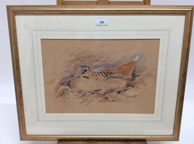 Lot 182 - Simon T. Trinder (b.1958) watercolour - A Woodcock, signed, in glazed gilt frame, 24.5cm x 35.5cm, framed size 45m x 55cm