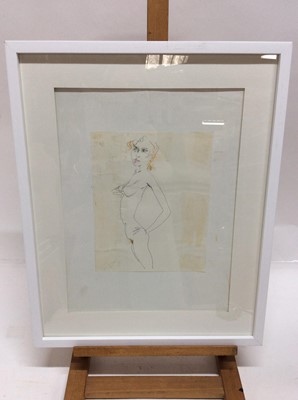Lot 198 - Peter Collins (1923-2001) pencil sketch of a female nude, in glazed frame, 25cm x 20cm and overall frame size 53.5cm x 43cm, together with thirty themed ‘Chelsea Birds’ unframed nude studies