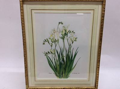 Lot 229 - James Steinmeyer, group of seven botanical watercolours, each titled, signed and dated 1986-87, in glazed frames, various sizes