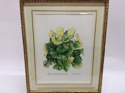 Lot 229 - James Steinmeyer, group of seven botanical watercolours, each titled, signed and dated 1986-87, in glazed frames, various sizes