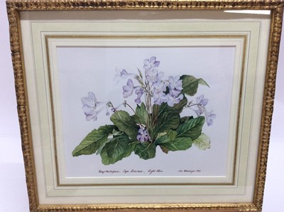 Lot 229 - James Steinmeyer, group of seven botanical watercolours, each titled, signed and dated 1986-87, in glazed frames, various sizes