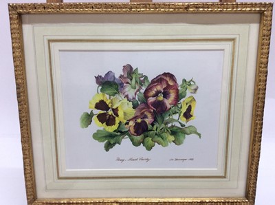 Lot 229 - James Steinmeyer, group of seven botanical watercolours, each titled, signed and dated 1986-87, in glazed frames, various sizes