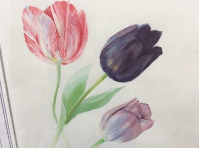 Lot 230 - Valentine Lawford, two 20th century watercolours - still life of tulips and an apple, signed and titled, in glazed gilt frames, 34cm x 25cm