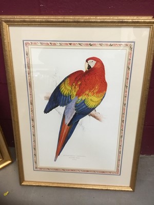 Lot 413 - Two ornithological prints - parrots, two others and watercolour