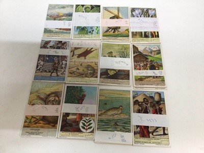 Lot 703 - Liebig trade cards selection of sets, including duplication, various subjects. Good to very good condition, each set is individually separated (200 sets)