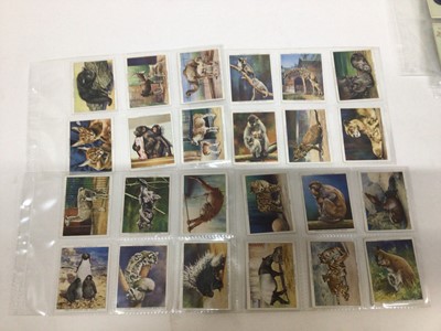 Lot 731 - Cigarette cards selection of sets and part sets in five files including Churchmans Boxing Personalities, Can You Beat Bogey at St Andrews, Players Derby and Grand National Winners, Types of Horses...