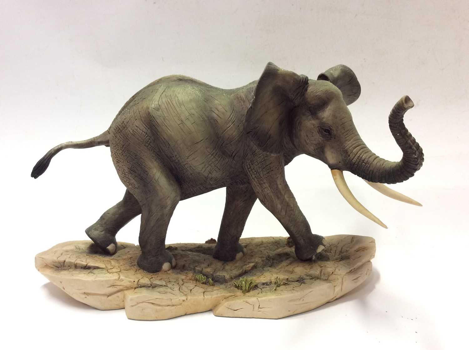 Lot 3 - Border Fine Arts limited edition model African Elephant, No. 474 of 750 by R T Roberts