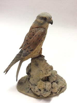 Lot 5 - Border Fine Arts limited edition model Eagle, No. 364 of 950 and two other Border Fine Arts birds of prey