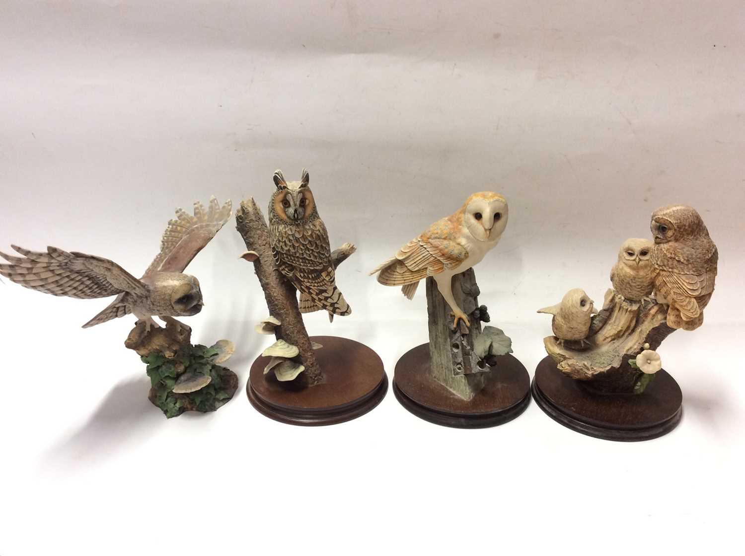 Lot 6 - Four Border Fine Arts models of owls, some by Ayres