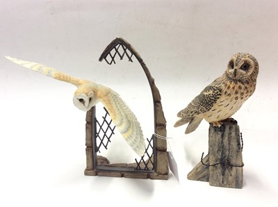 Lot 7 - Nine Border Fine Arts models of owls, some by Ayres