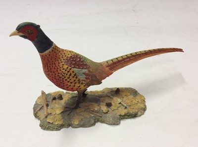Lot 8 - Eight Border Fine Arts models of birds including a pheasant