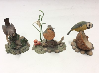 Lot 8 - Eight Border Fine Arts models of birds including a pheasant