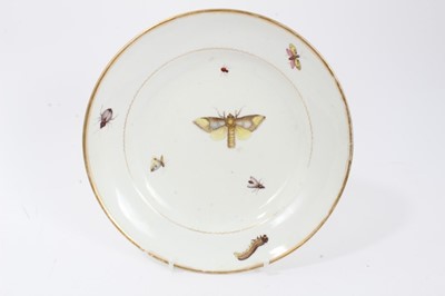 Lot 39 - Unusual Derby plate, c.1815, painted with insects, along with four similar Paris porcelain plates and a lobed dish