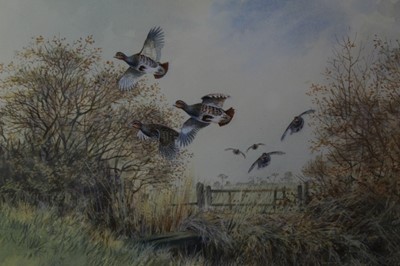 Lot 1033 - John Paley watercolour - English Partridge over a hedge, signed, in glazed gilt frame