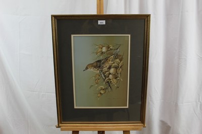 Lot 1053 - Terence James Bond (b.1946) watercolour and gouache - A Song Thrush