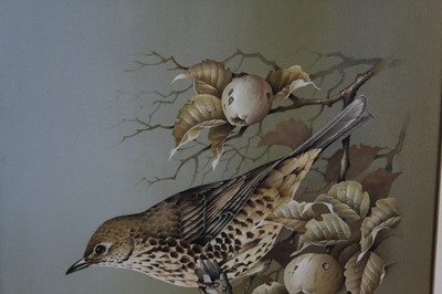 Lot 1053 - Terence James Bond (b.1946) watercolour and gouache - A Song Thrush