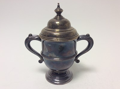 Lot 197 - George V silver two handled trophy cup of conventional form with slip in domed cover, (Birmingham 1923), maker A & J Zimmerman Ltd, all at approximately 8oz, 16cm in height