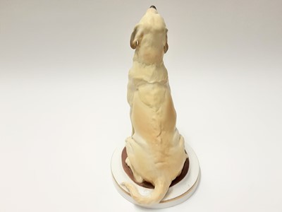 Lot 200 - Impressive Royal Worcester limited edition model - Yellow Labrador by Kenneth Potts, number 33 of 250, with certificate